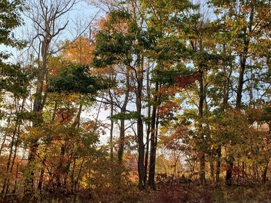 0 E County Rd unit 72845808, Rutland, MA 01543 - photo 5