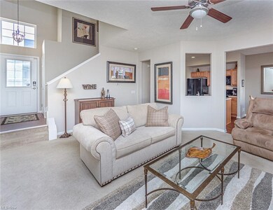 Lots of natural light in the main living space and
