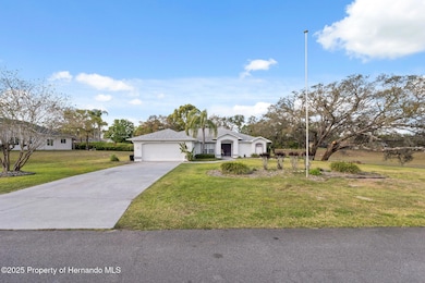 3-web-or-mls-P1290720