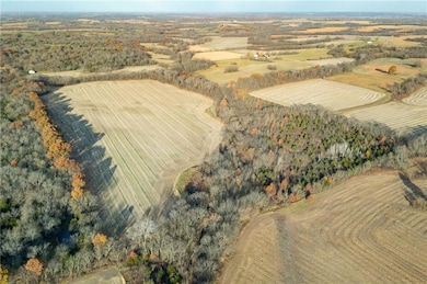 TBD SE Sparks Rd, Braymer, MO 64625 - photo 5