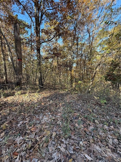 unlisted-address, de Soto, MO 63020 - photo 4