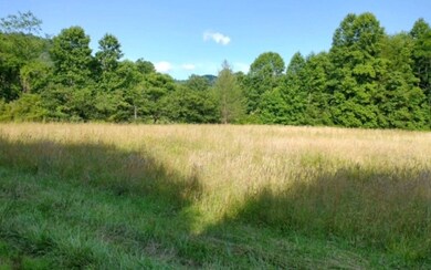 Additional View