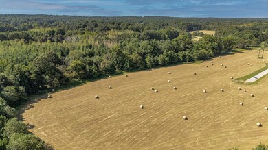 Tract 3 Greene 726 Rd, Paragould, AR 72450 - photo 4