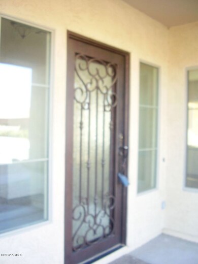 decorative Iron and Glass Front door