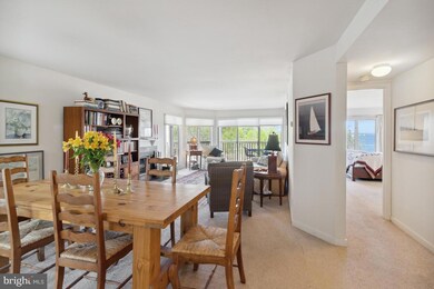 2018 Quay Village Ct unit 102, Annapolis, MD 21403 - photo 6