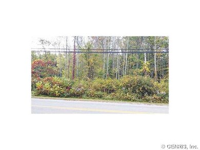 Land/Lot
