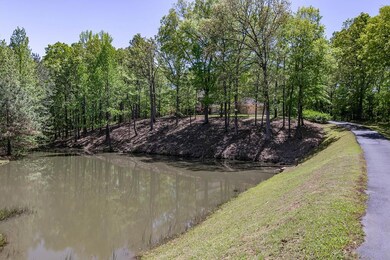 163 Fox Trail Run, Oxford, MS 38655 - photo 3