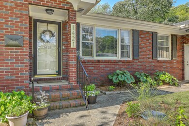Storm door