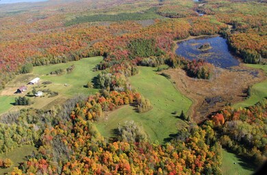 63999 Wolanek Rd unit 313 acres, Marengo, WI 54855 - photo 2