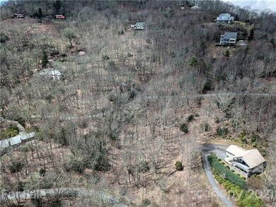 Drone photo of lot above house on bottom right corner