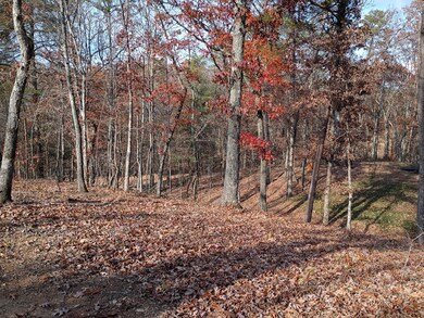 1681 Carters Rd unit 109, Chatsworth, GA 30705 - photo 5