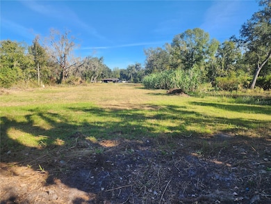 2102 Sydney Dover Rd, Dover, FL 33527 - photo 5