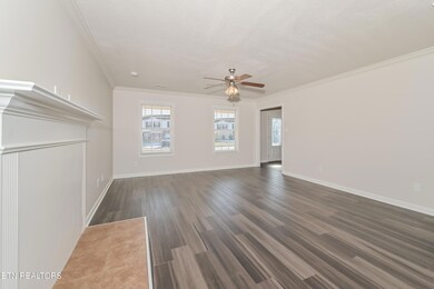 004-photo-living-room-14270944