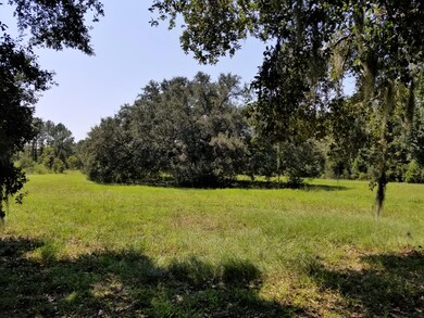 Oak 2