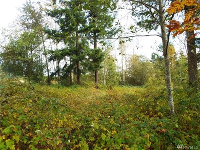 255th 295th St E, Graham, WA 98338 - photo 7