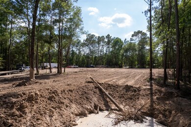 15209 Saddlewood Dr, Conroe, TX 77384 - photo 5