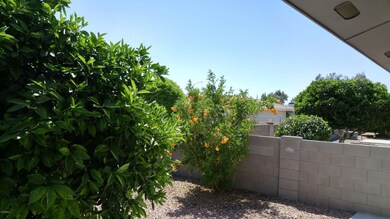 Mature Landscaping