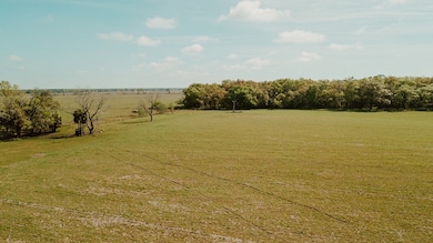 000 SW 180th Ave, Dunnellon, FL 34432 - photo 2