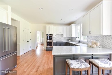 8703 Winthrop Dr, Alexandria, VA 22308 - photo 7