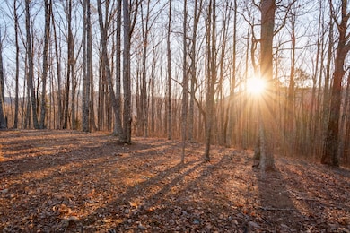 McLemore Cove Ridge-1