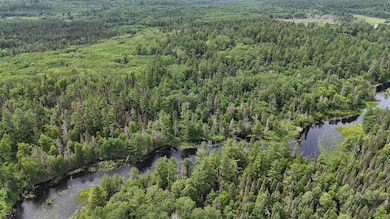 TBD 40N Rollick Creek, Crane Lake, MN 55725 - photo 5