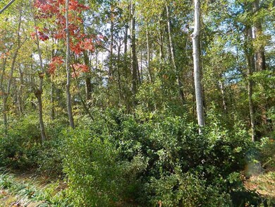 0 Old Landing Rd, Covington, LA 70433 - photo 6