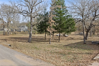 0 Timber Ln, Mannsville, OK 73447 - photo 7