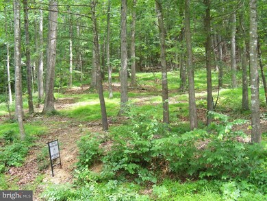 0 Linda Ln unit VASH117426, Basye, VA 22810 - photo 4