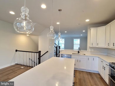 8571 Red Sage Way S, Frederick, MD 21704 - photo 2