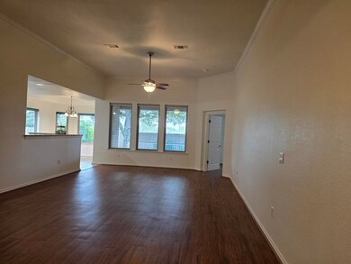 323 Chase Oaks Place, Fredericksburg, TX 78624 - photo 3