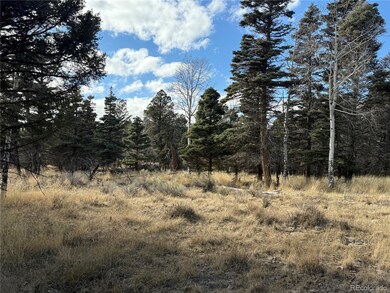 310 Morley Place, Fort Garland, CO 81133 - photo 6