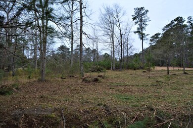 1.35 E Wilmington St, Burgaw, NC 28425 - photo 5