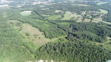 0 U S 231 unit 21390284, Oneonta, AL 35121 - photo 5