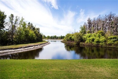 VIEW OF POND FROM YARD/LANAI/HOUSE