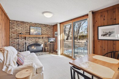 282 Glenbrook Rd N, Wayzata, MN 55391 - photo 6