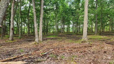 0 Fredonia Rd unit RTC2658009, Manchester, TN 37355 - photo 3