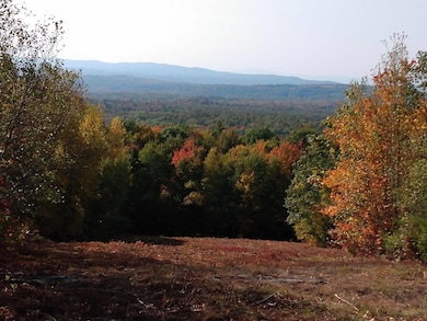 Fall Photo