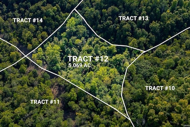 Tract 12 Indiana 156, Patriot, IN 47038 - photo 4