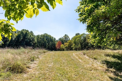 8131 Leffingwell Rd, Canfield, OH 44406 - photo 5