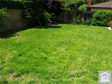 large grassy area in backyard