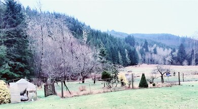 423 Pigeon Springs Rd, Onalaska, WA 98570 - photo 5