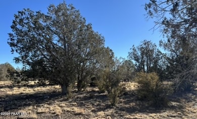 3264 N Willarney Way, Williams, AZ 86046 - photo 2