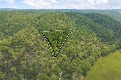 0 Red Bud Ln, Hilham, TN 38568 - photo 2