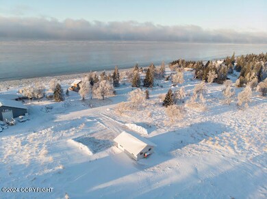 22130 Becharof Cir, Kasilof, AK 99610 - photo 3