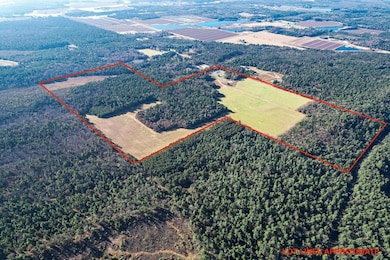 1504 Atom Rd, Lincoln, WI 54666 - photo 5