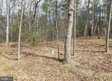 0 Palmer Rd unit 1003241395, Basye, VA 22810 - photo 2