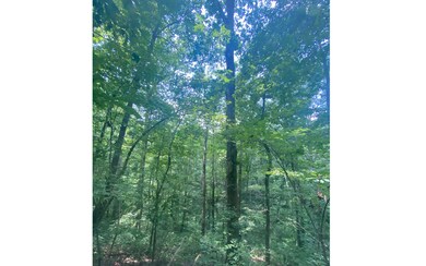 Additional View