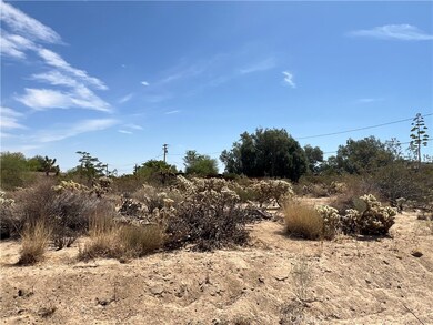 61891 El Reposo Cir, Joshua Tree, CA 92252 - photo 4