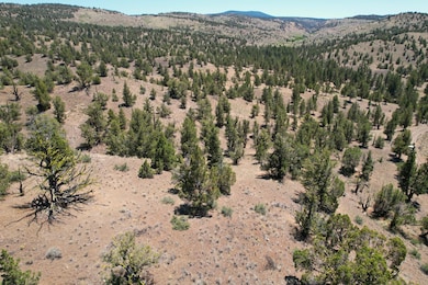 dji_fly_20250618_133124_561_175027944887