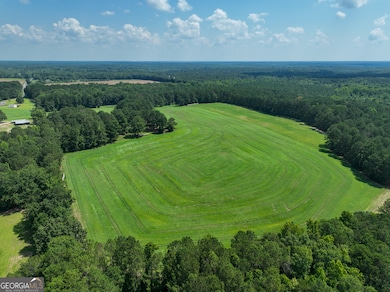 0 Silver Dollar Rd unit 10552561, Barnesville, GA 30204 - photo 5